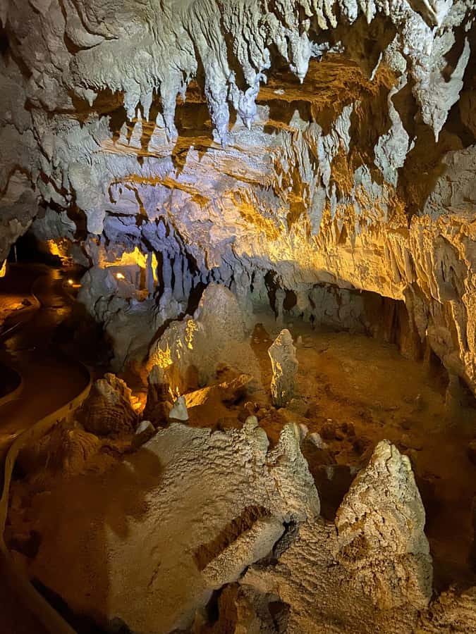 Auckland: Spellbound Glowworm Caves Explorer Tour - Te Ana o Te Atua: why the cave story feels more than scenic