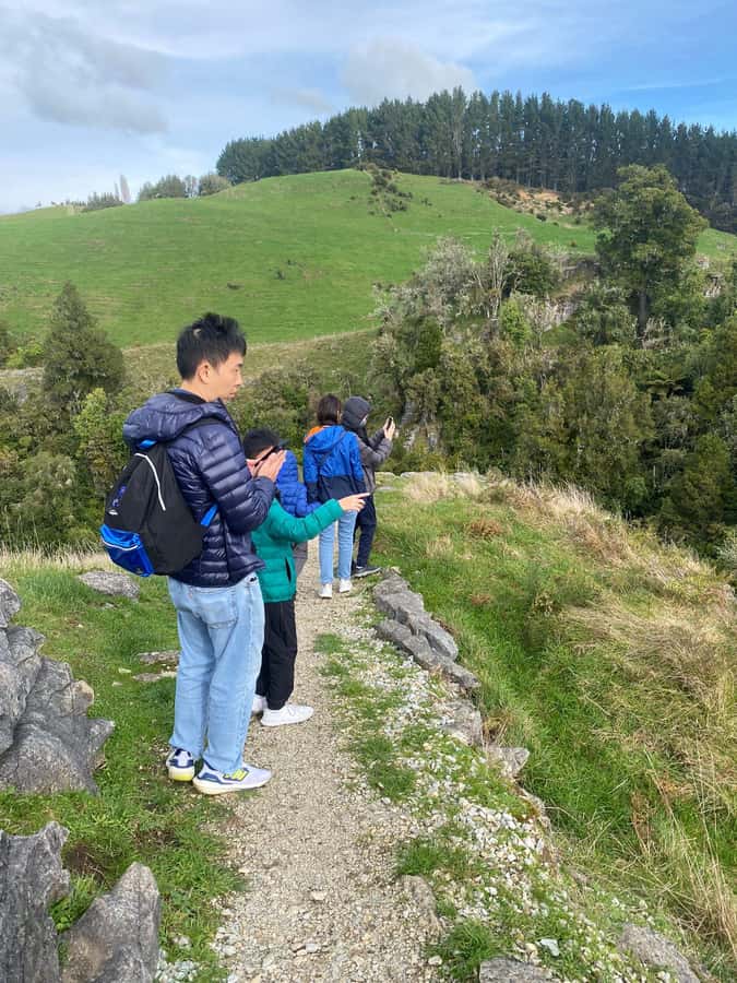 Auckland: Spellbound Glowworm Caves Explorer Tour - Glowworm Grotto boat ride: slow, quiet, and starry