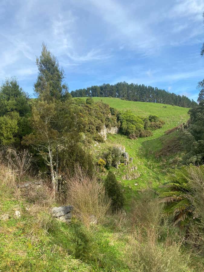 Auckland: Spellbound Glowworm Caves Explorer Tour - What to bring: simple stuff that saves the day