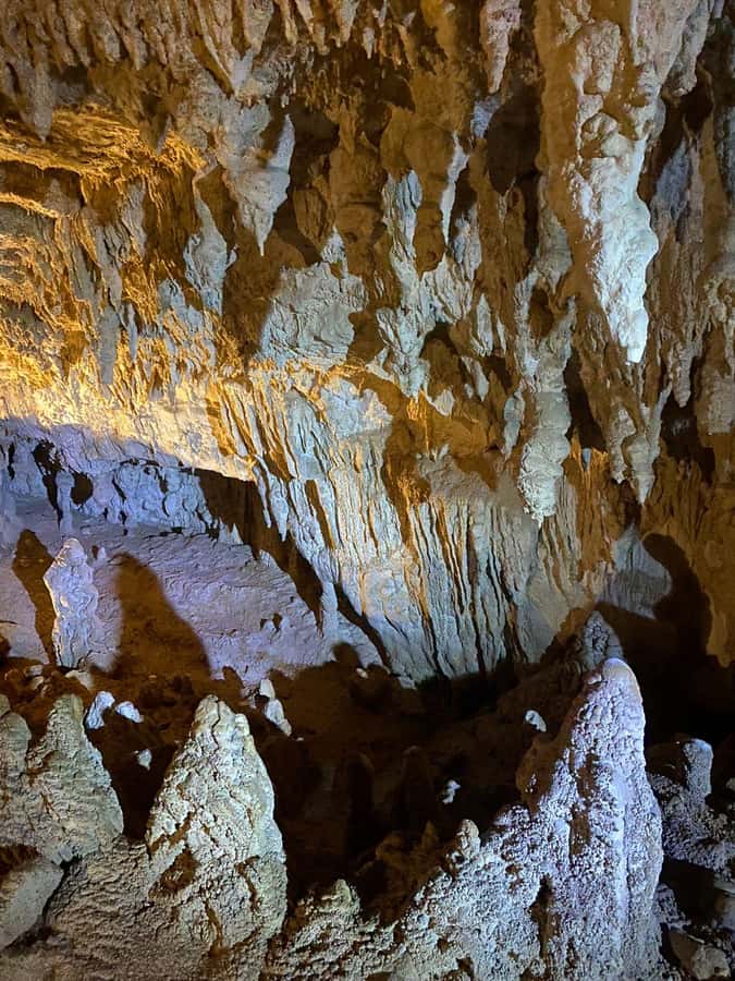 Auckland: Spellbound Glowworm Caves Explorer Tour - Getting to Waitomo with pickup, snacks, and real talk on the drive