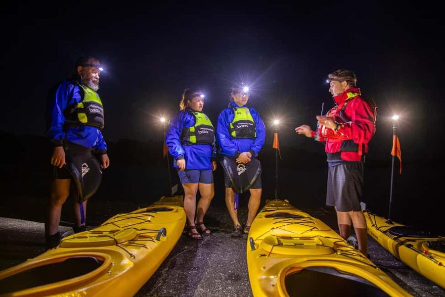 Auckland: Sunset & Night Sea Kayak Tour to Rangitoto Island - Rangitoto Island: The Summit Hike Is the Main Work