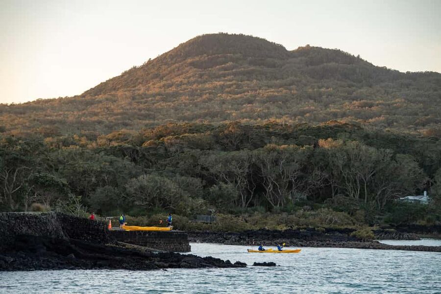 Auckland: Sunset & Night Sea Kayak Tour to Rangitoto Island - Night Kayaking Back to Auckland: Stars, Twinkling Lights, and Real Wind