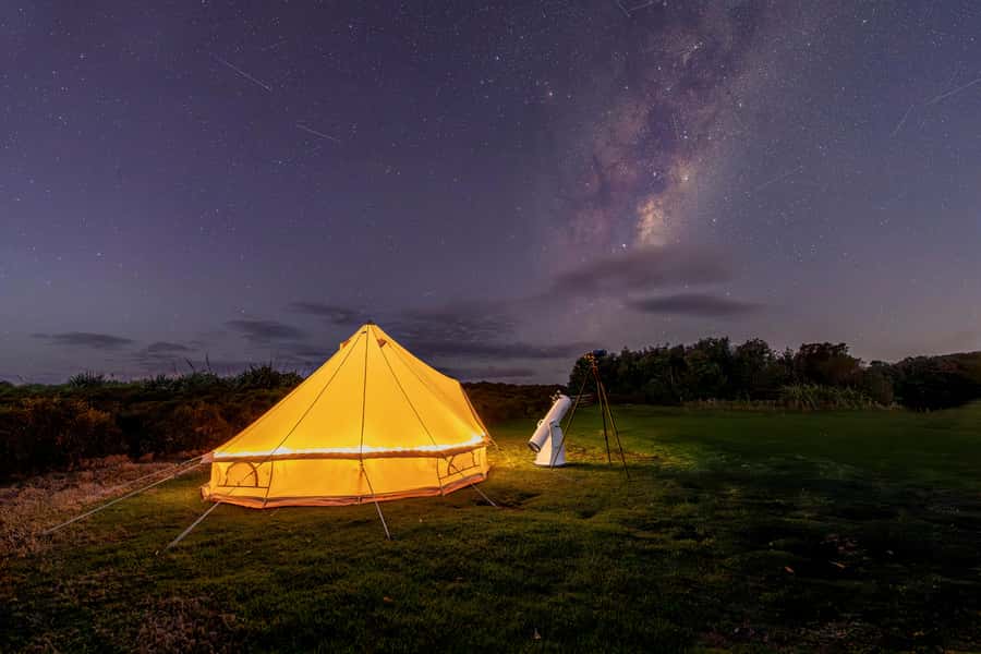 Auckland (Tawharanui): Wild Kiwi Bird Spotting Encounter - Stargazing at Tawharanui: planets, constellations, and the Southern sky