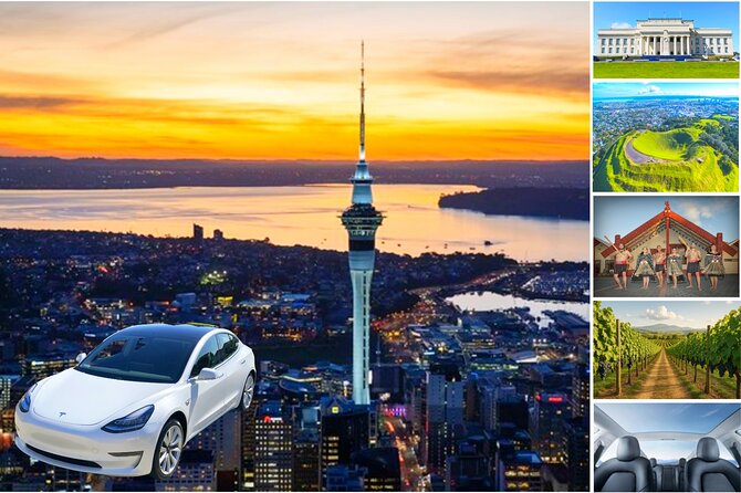 Auckland: Tikapa Moana Dolphin, Whale and Island Cruise - Stop 2 and 3: Waiheke Island time, Rotoroa walks, or Man O’ War beach vibes