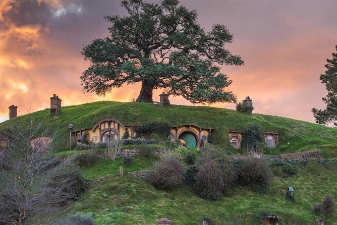 Auckland to Hobbiton Movie Set and Rotorua's Geothermal Valley - Price and value: why $279.26 can make sense for the right traveler