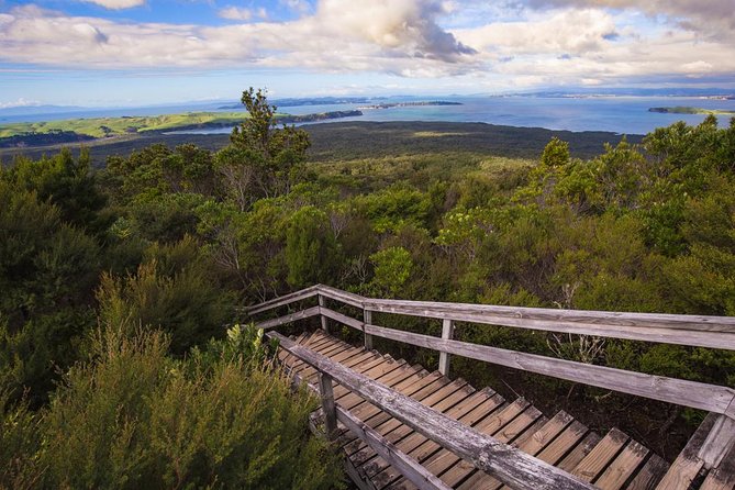 Auckland to Rangitoto Island Ferry - Rangitoto’s big volcanic cone, right off Auckland