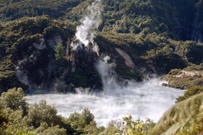 Auckland to Rotorua Private Tour - Rotorua i-SITE stop: where you get oriented without guessing