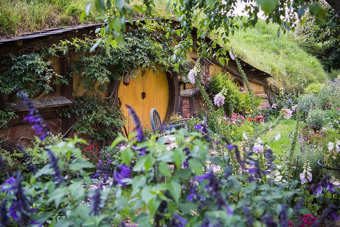 Auckland to Rotorua via Hobbiton Small Group Tour (One Way) - Central Rotorua drop-off, with just enough orientation