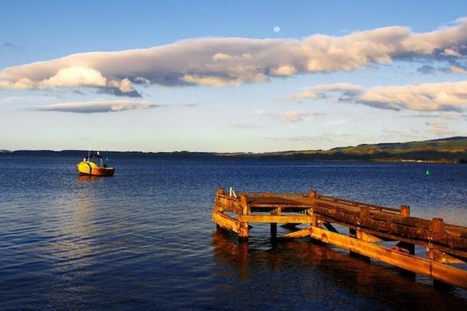 Auckland to Rotorua via Waitomo Caves Small Group Tour (One Way) - Price and logistics: what $191.76 really buys you