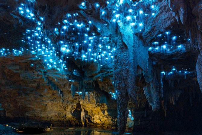 Auckland to Waitomo Caves and Hobbiton Movie Set Private Tour - Auckland to Waitomo and Hobbiton, Why This Combo Makes Sense