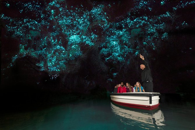 Auckland to Waitomo Caves and Hobbiton Movie Set Private Tour - How the Day Flows: A Realistic 11-Hour Plan