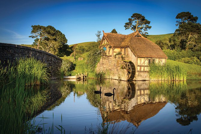 Auckland to Waitomo Caves and Hobbiton Movie Set Private Tour - Private Mercedes Pickup: Comfort and Timing That Reduce Stress