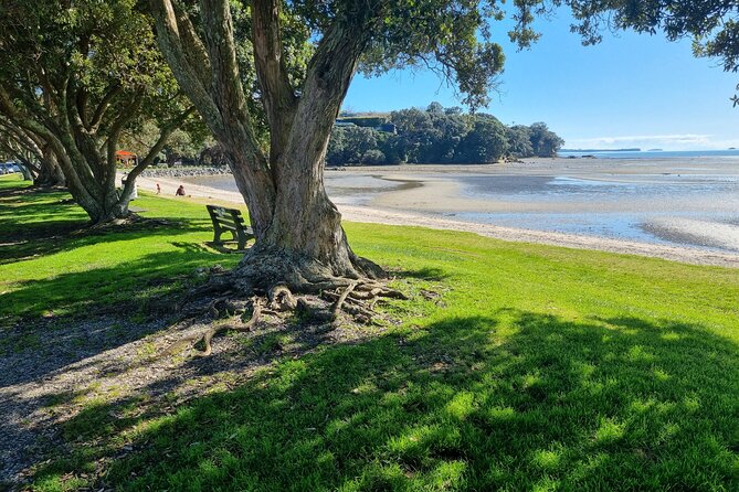 Auckland Town and Country Delights Tour - Key highlights you will feel right away