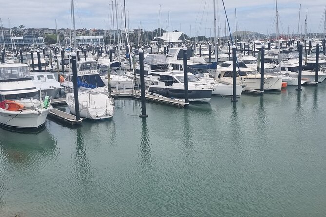 Auckland Town and Country Delights Tour - Who should book, and what to watch for before you go