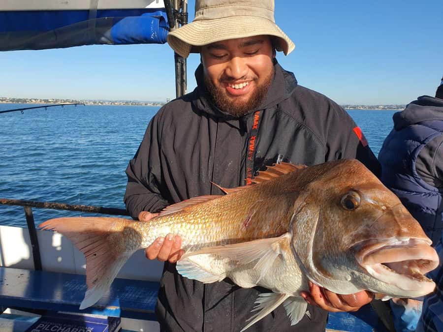 Auckland: Twilight Fishing Charter 5pm - 9:30pm - Key Things to Know Before You Go