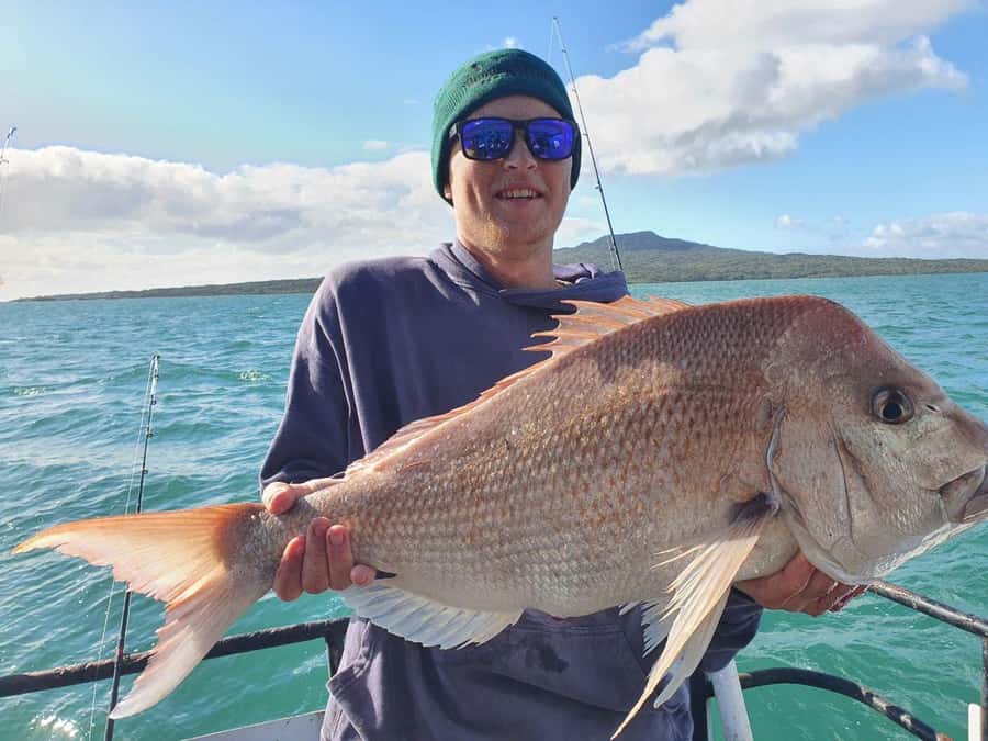 Auckland: Twilight Fishing Charter 5pm - 9:30pm - Twilight Hours in the Hauraki Gulf: Why This 5:00 pm Slot Works