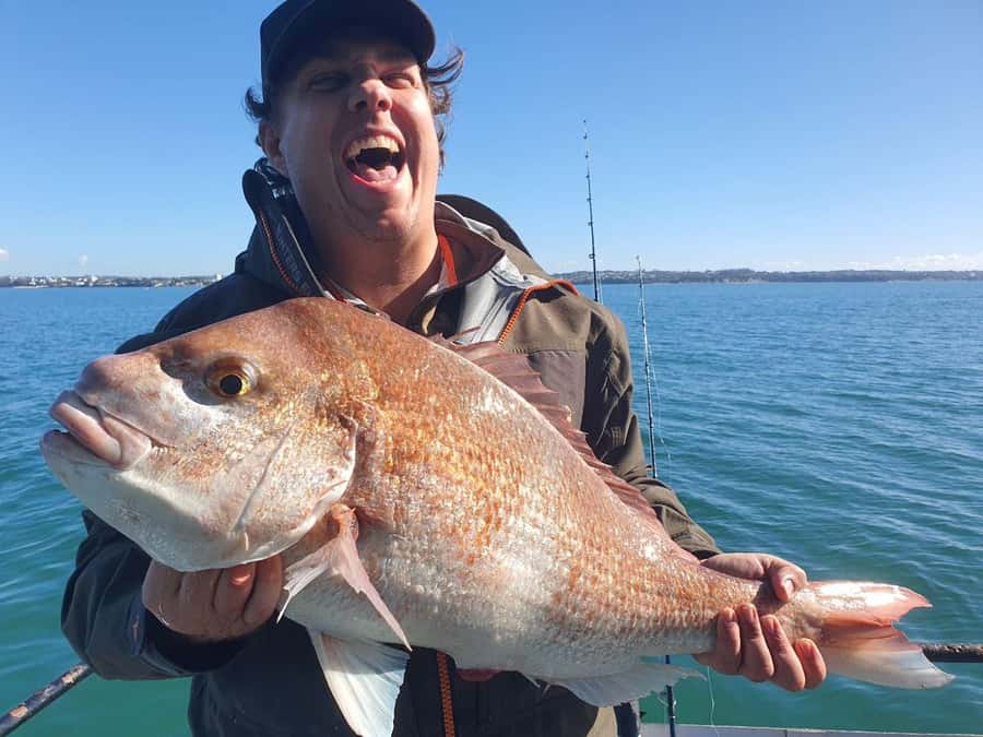 Auckland: Twilight Fishing Charter 5pm - 9:30pm - What You’ll Fish For: Snapper, Kahawai, Gurnard, and More