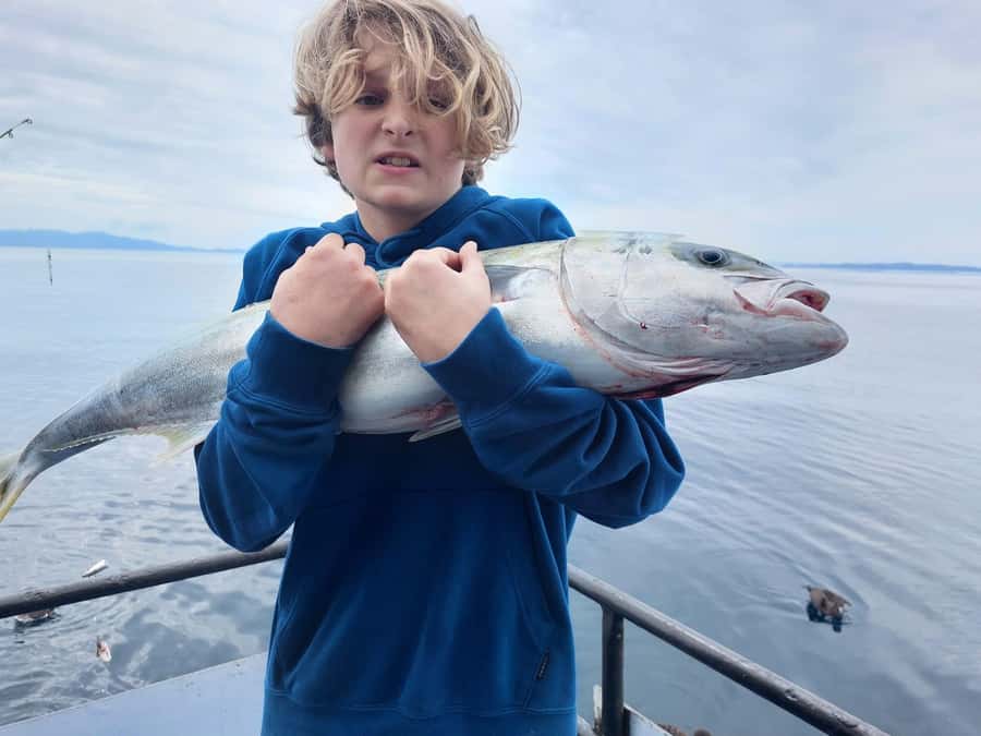 Auckland: Twilight Fishing Charter 5pm - 9:30pm - Gear, Rods, and BYO Rules: The Part That Can Change Your Experience