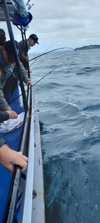 Auckland: Twilight Fishing Charter 5pm - 9:30pm - Cruising for Views, Not Just Fishing
