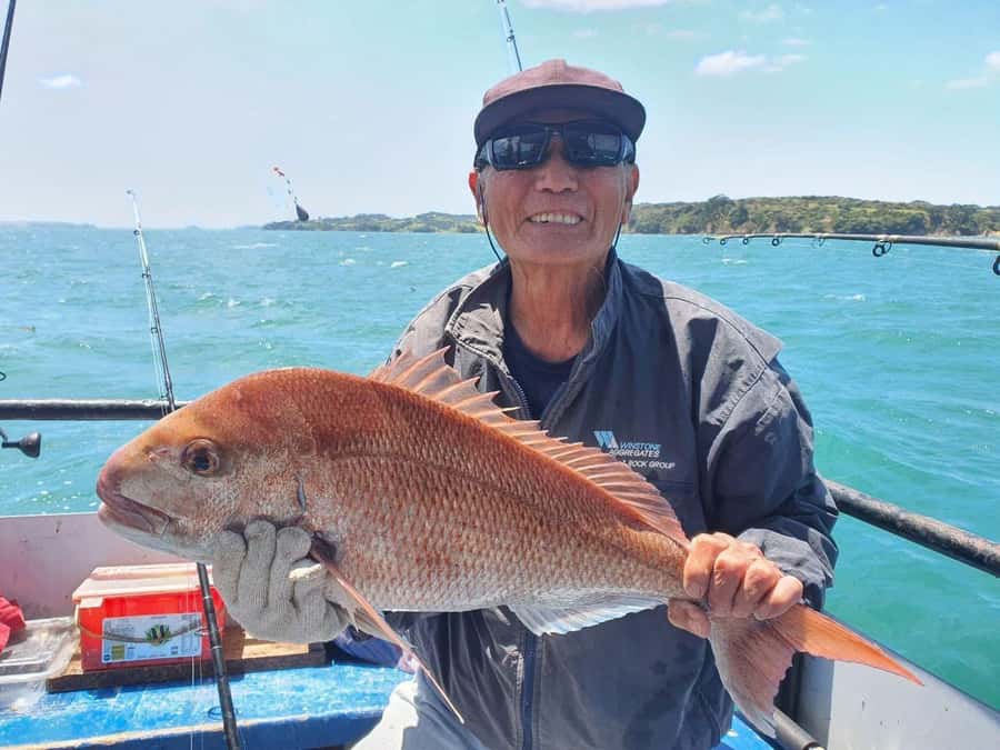 Auckland: Twilight Fishing Charter 5pm - 9:30pm - Price and Value: Is $40 Worth It?