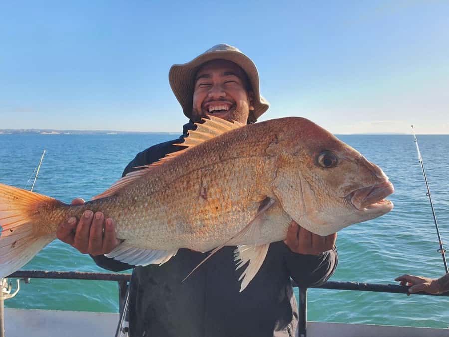 Auckland: Twilight Fishing Charter 5pm - 9:30pm - Meet at Z Pier, Westhaven Marina: Simple Logistics That Prevent Stress