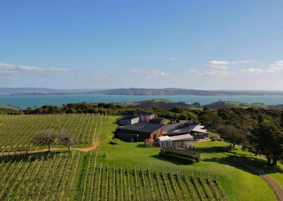 Auckland: Waiheke Island Wine and Food Tasting with Flights - Key things I’d lock in first