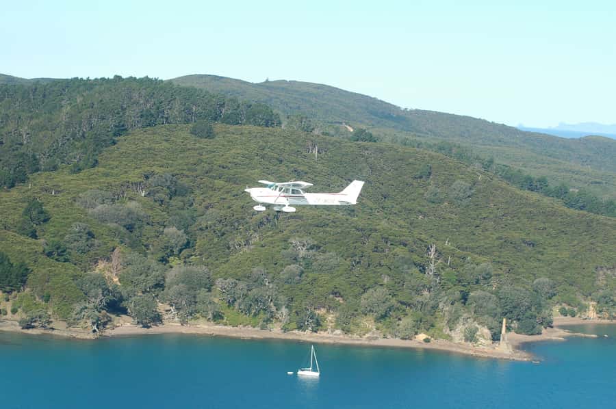 Auckland: Waiheke Island Wine and Food Tasting with Flights - Why Waiheke by air changes the whole feel