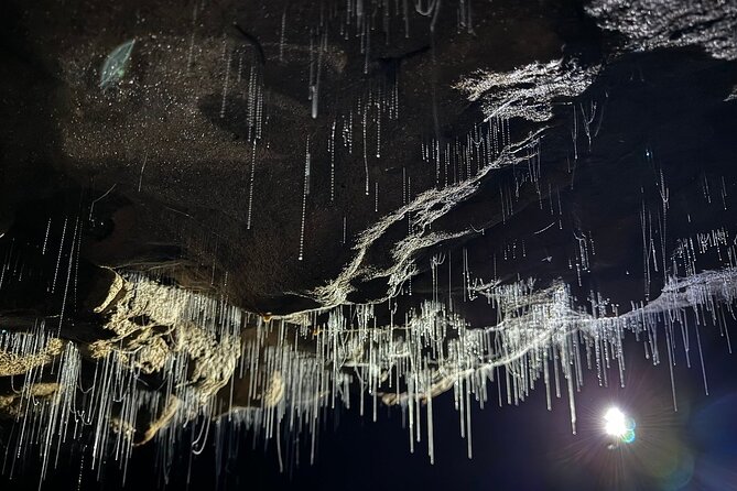 Auckland : Waitomo Spellbound Glow Worm Twin Caves Private Tour - Entering the Glowworm Grotto: starry light without the crowds