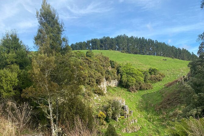 Auckland : Waitomo Spellbound Glow Worm Twin Caves Private Tour - Tea, coffee, and why the break actually helps