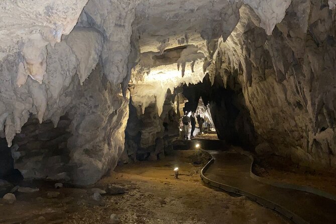 Auckland : Waitomo Spellbound Glow Worm Twin Caves Private Tour - Lunch in Otorohanga: plan for your own meal