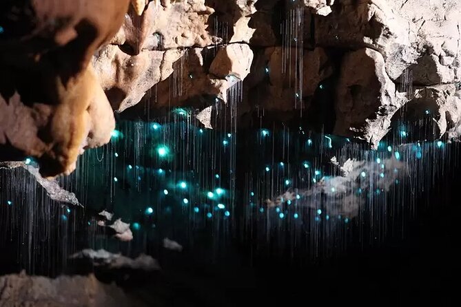Auckland : Waitomo Spellbound Glow Worm Twin Caves Private Tour - When this tour fits best, and when to rethink it