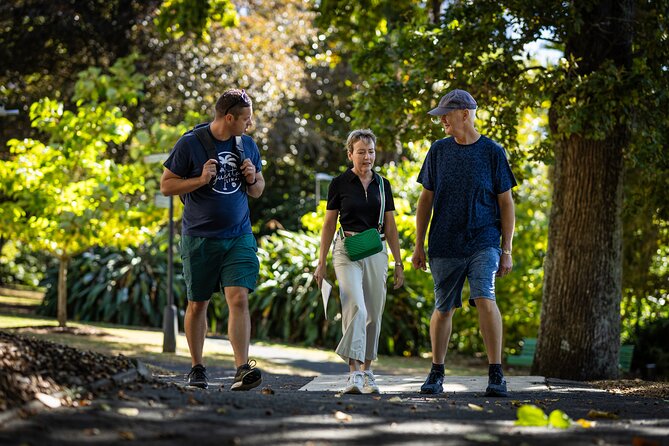 Auckland Walking Tour: Small-Group History & Culture Experience - Albert Park: getting your bearings in green and stone