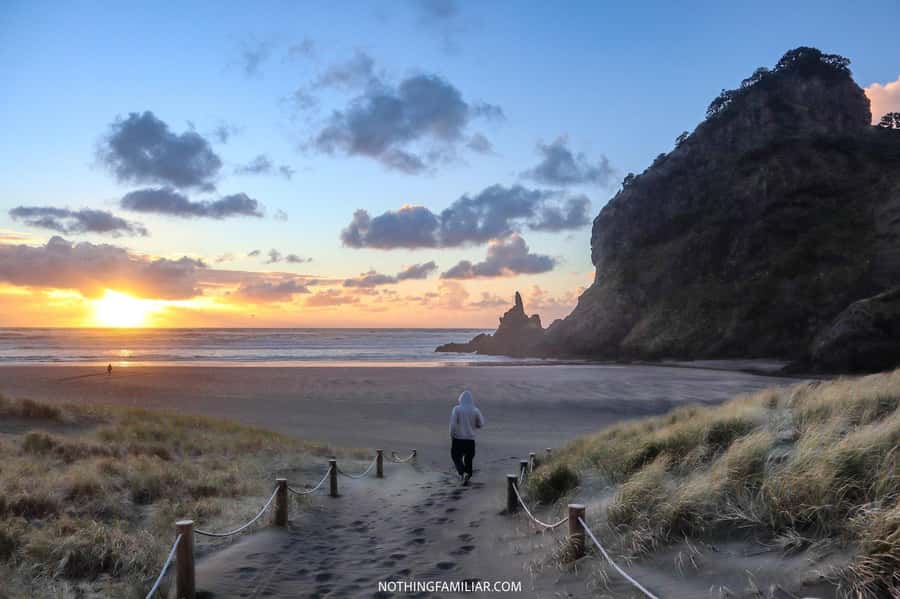 Auckland: West Coast Discovery - Key points worth knowing