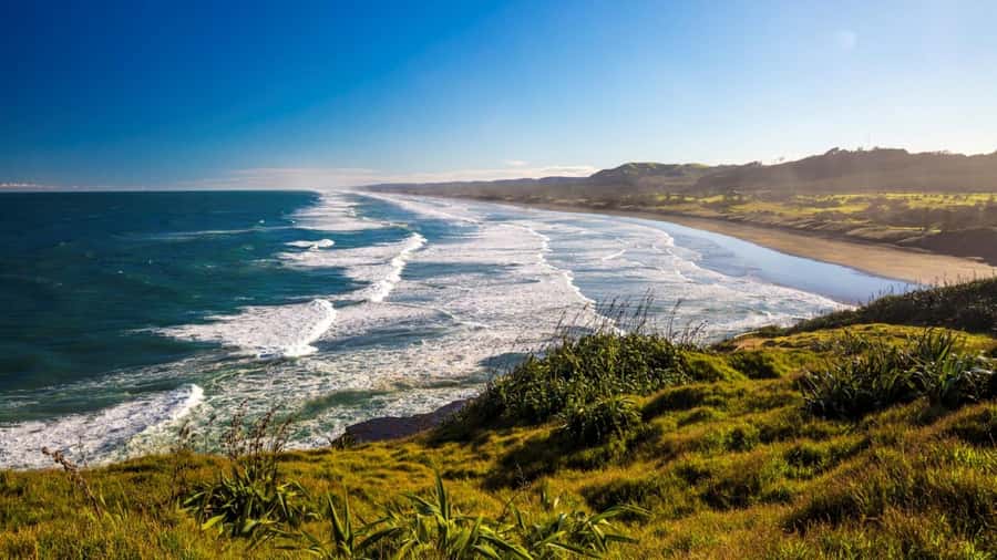 Auckland: West Coast Discovery - West Coast Discovery from Auckland, what you’re really buying