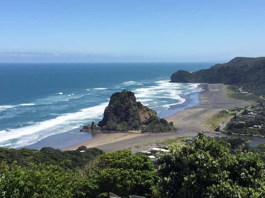 Auckland: West Coast Discovery - Mercedes van comfort and the guide factor