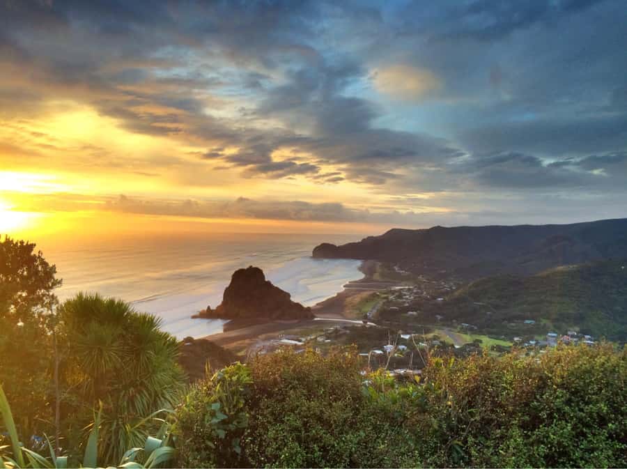 Auckland: West Coast Discovery - The 6-hour rhythm: how the timing works in practice