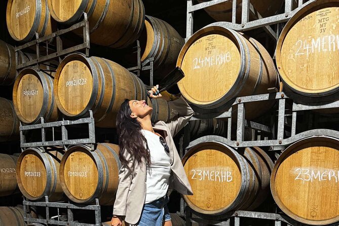 Auckland West Vineyard Tour with lunch and tastings incl - Key highlights you will actually care about