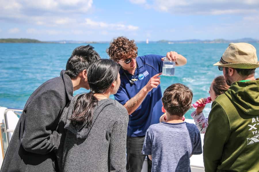 Auckland: Whale and Dolphin Watching Half-Day Eco Cruise - The half-day timing: what the 270 minutes actually mean for your schedule