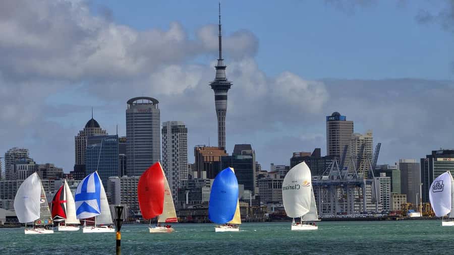 Auckland: Wild West Coast, Black Sand Beaches Tour inc Lunch - Hallertau Brewery lunch: included set menu, plus optional beer