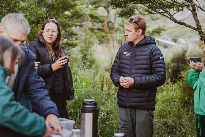 Award Winning Milford Sound Full Day Tour & Cruise from Te Anau - My quick decision guide: book or skip