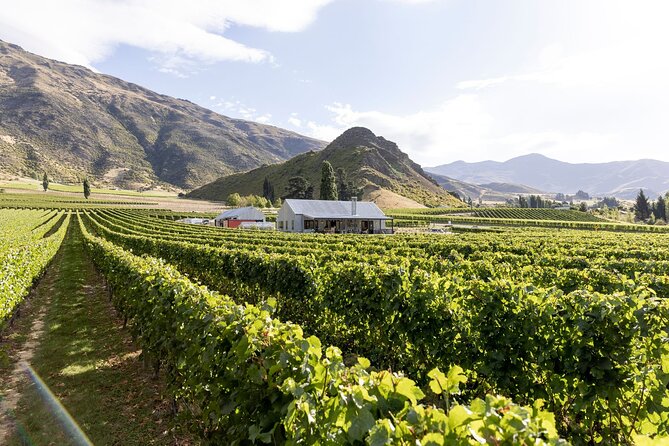 Award Winning Premium Wine Tour Queenstown Tasting at 4 Wineries - Mercedes Van Pickup and Drop-Off, Plus the Small-Group Advantage