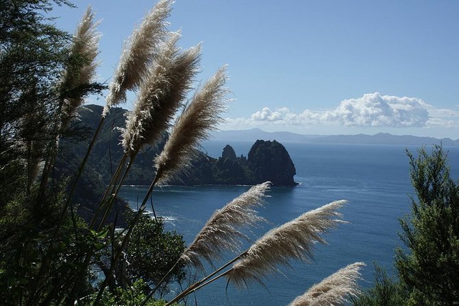 Bay of Islands 2-Day Small Group Tour & Cruise from Auckland - Returning to Auckland with guided stops, then back to your hotel