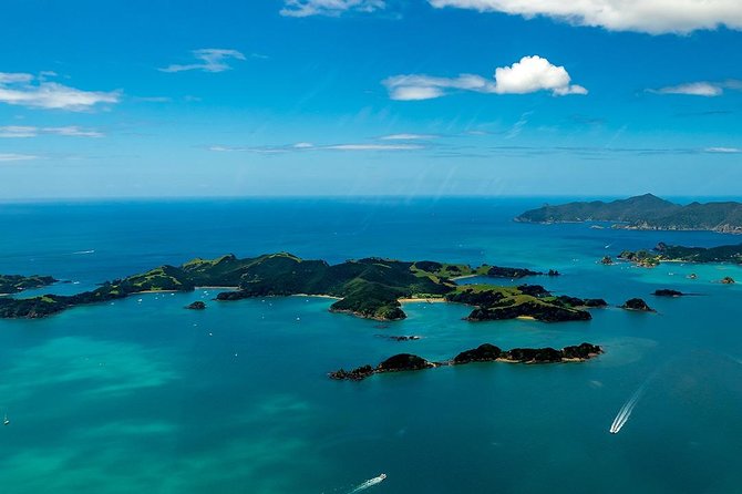 Bay of Islands 2-Day Small Group Tour & Cruise from Auckland - Price and value: what $452.40 buys you, and where the costs sit
