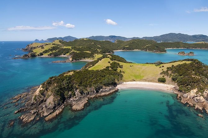 Bay of Islands 2-Day Small Group Tour & Cruise from Auckland - Matakohe Kauri Museum and the Waipoua Forest Tane Mahuta moment