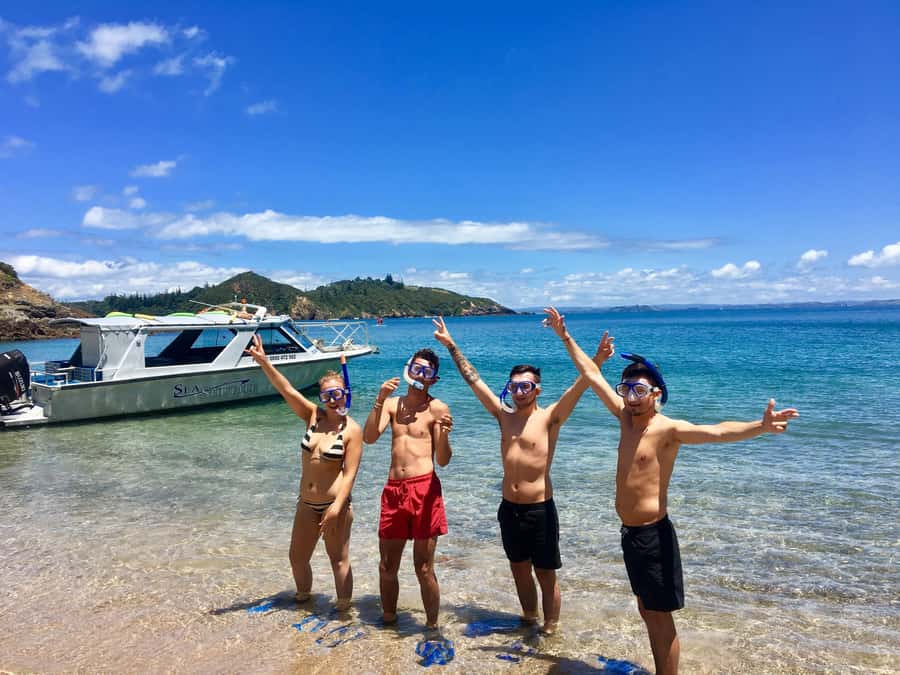 Bay of Islands: 4.5 Hour Day Cruise and Island Getaway Tour - Why this Bay of Islands cruise feels better than DIY