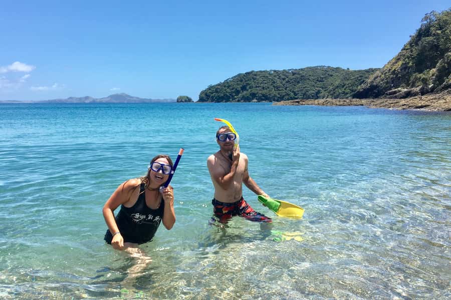 Bay of Islands: 4.5 Hour Day Cruise and Island Getaway Tour - Snorkeling and a secluded second island stop