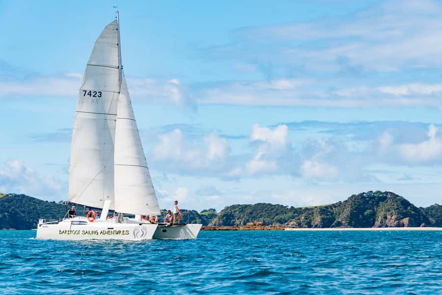 Bay of Islands: Catamaran Sail, Wildlife Island & Lunch - Quick hits before you go