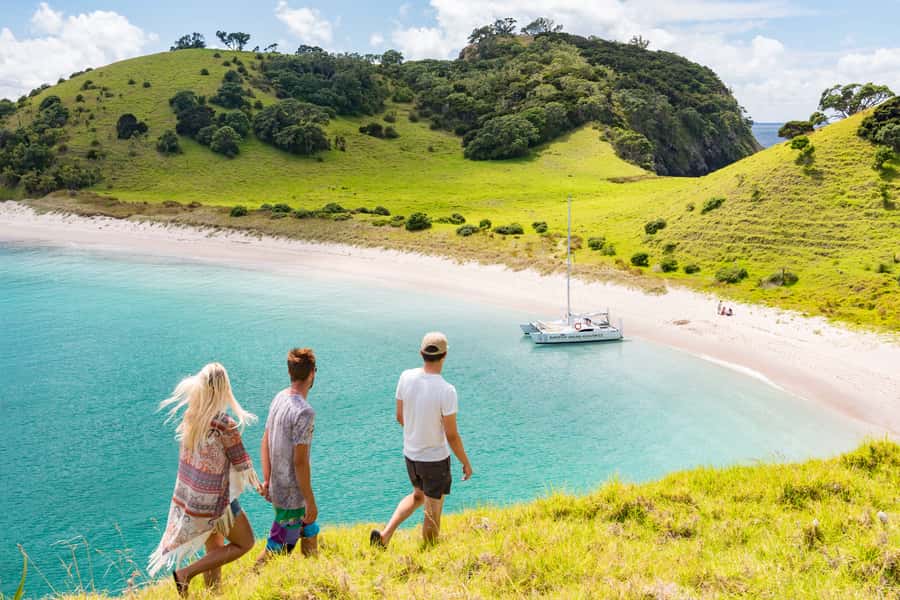 Bay of Islands: Catamaran Sail, Wildlife Island & Lunch - The 2-hour wildlife island stop: picnic lunch plus real freedom