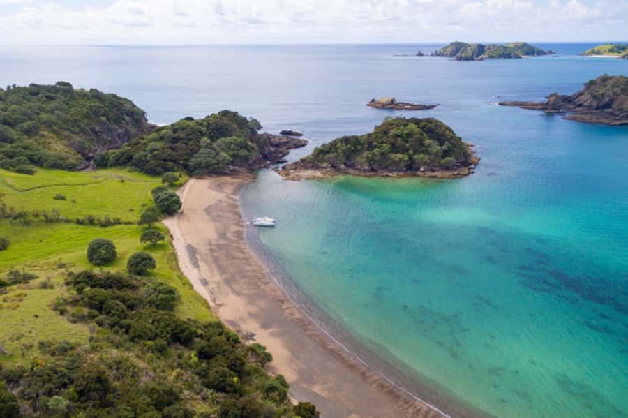 Bay of Islands: Catamaran Sail, Wildlife Island & Lunch - Getting a turn at the controls: why this feels hands-on