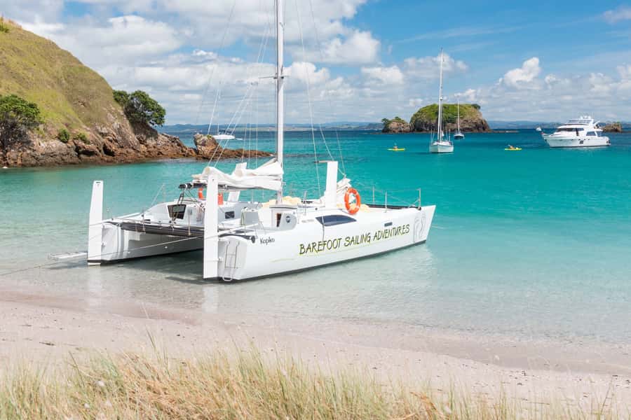 Bay of Islands: Catamaran Sail, Wildlife Island & Lunch - The food and drinks routine: hot first, cold on the way back